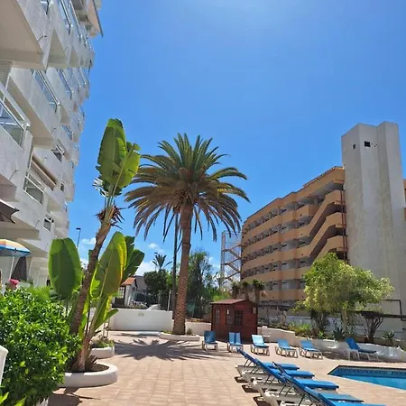 Paraiso Ponderosa, Lovely Estudio Americas