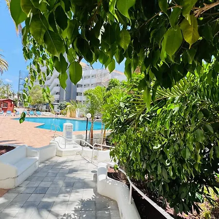 Paraiso Ponderosa, Lovely Estudio Americas Playa Fanabe