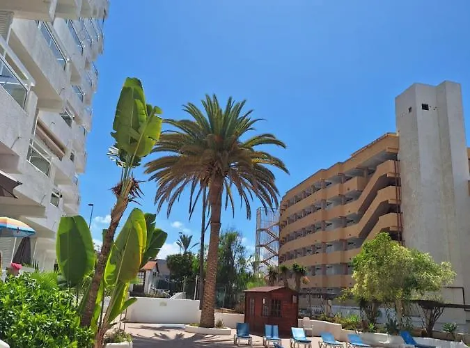 Paraiso Ponderosa, Lovely Estudio Americas