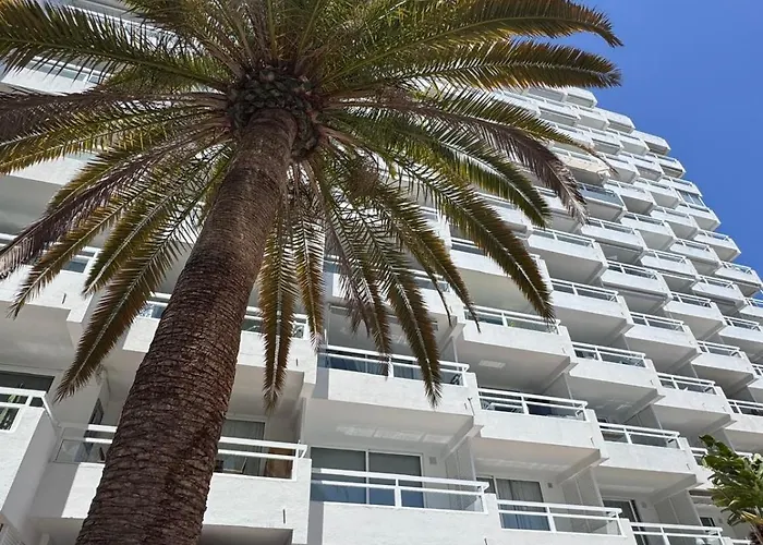 Paraiso Ponderosa, Lovely Estudio Americas *